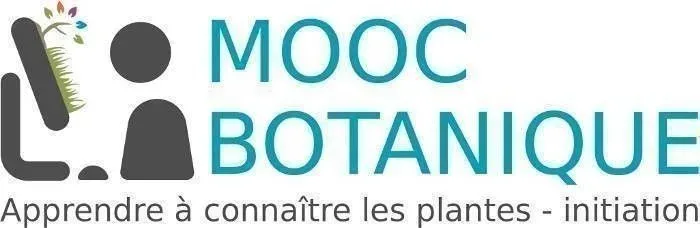 mooc botanique